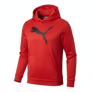 Puma Hoodie, Boys Size14-16